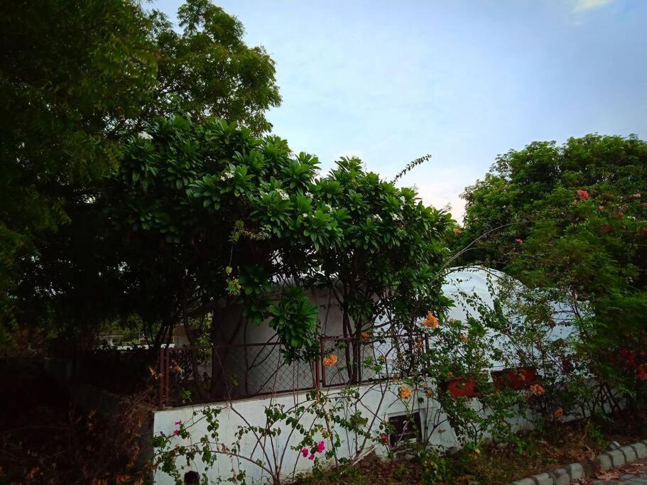 Mamta'S Home- Kensville Nanodra Ngoại thất bức ảnh