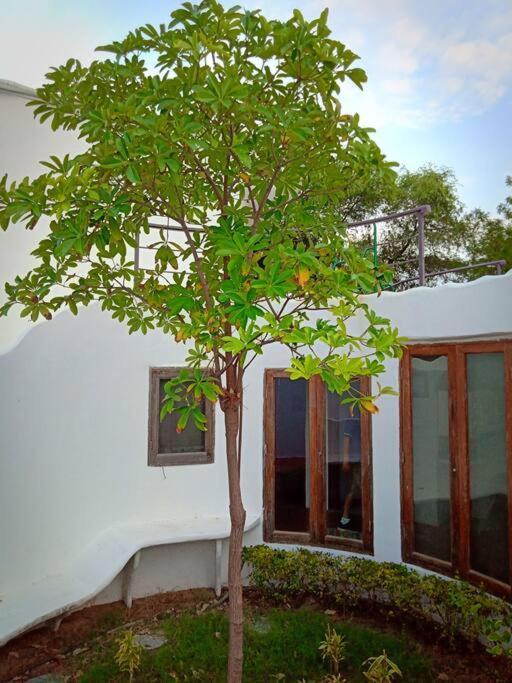 Mamta'S Home- Kensville Nanodra Ngoại thất bức ảnh
