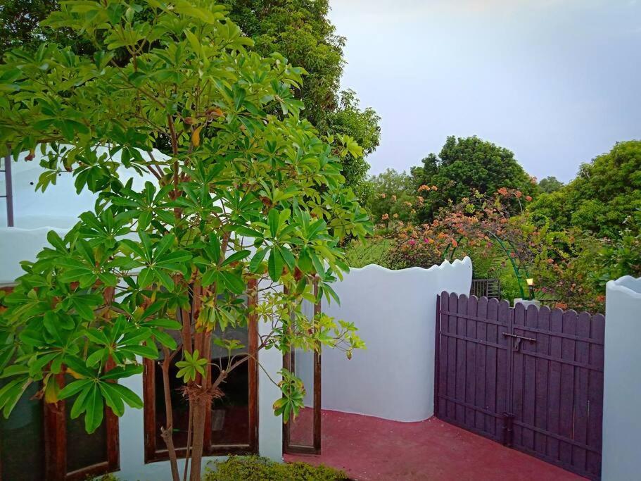 Mamta'S Home- Kensville Nanodra Ngoại thất bức ảnh